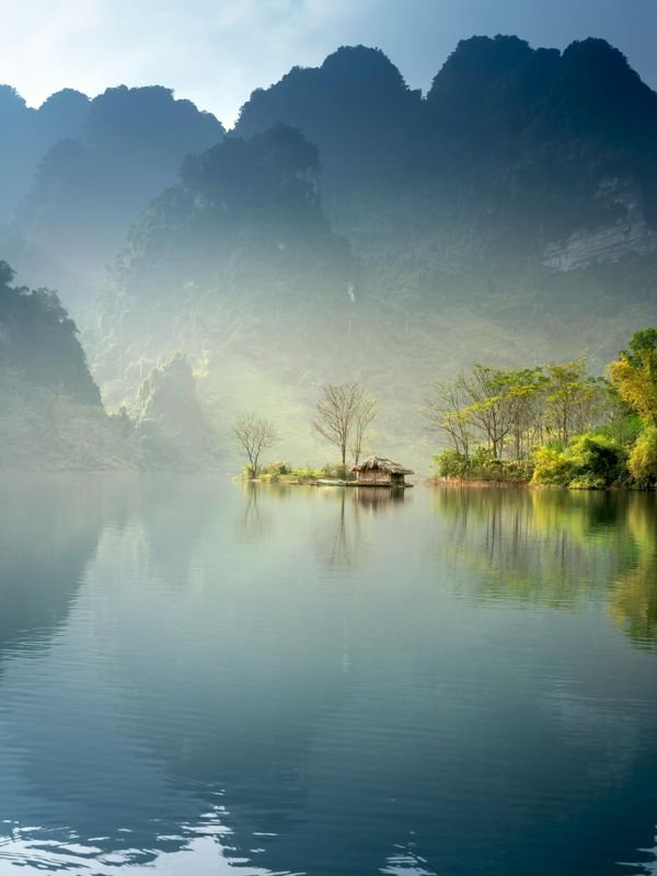A scenic mountain and forest landscape